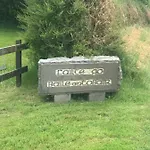 Dream * Ballintober (Roscommon)