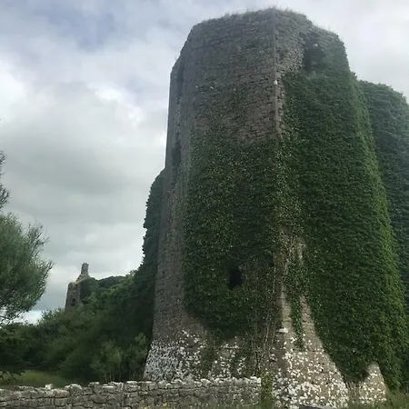 Dream * Ballintober (Roscommon)