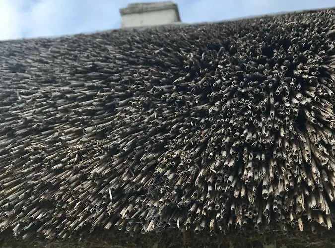 Dream Tatil Evi Ballintober (Roscommon)